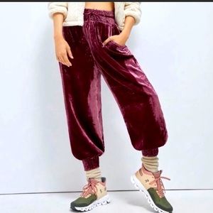 Anthropologie Gloria Velvet Joggers
